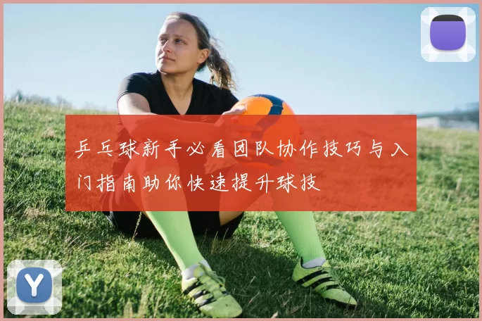 乒乓球新手必看团队协作技巧与入门指南助你快速提升球技