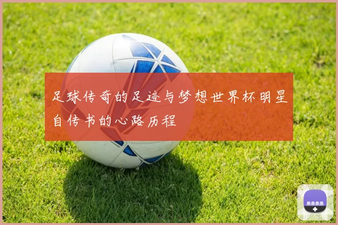 足球传奇的足迹与梦想世界杯明星自传书的心路历程