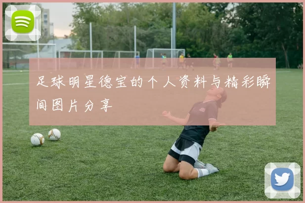 足球明星德宝的个人资料与精彩瞬间图片分享