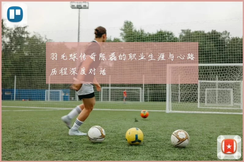 羽毛球传奇陈磊的职业生涯与心路历程深度对话