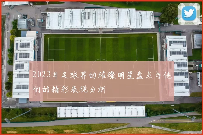 2023年足球界的璀璨明星盘点与他们的精彩表现分析