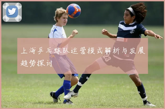 上海乒乓球队运营模式解析与发展趋势探讨