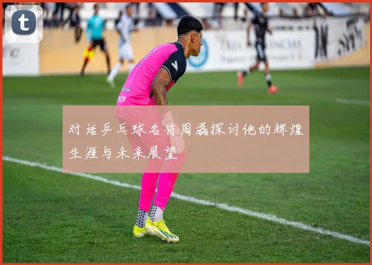 对话乒乓球名将周磊探讨他的辉煌生涯与未来展望