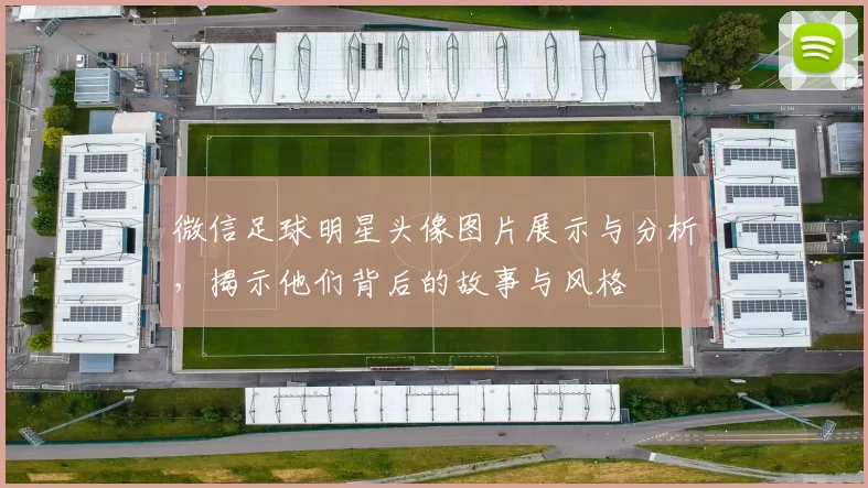 微信足球明星头像图片展示与分析，揭示他们背后的故事与风格