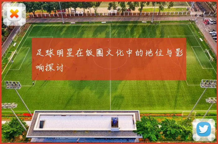 足球明星在饭圈文化中的地位与影响探讨
