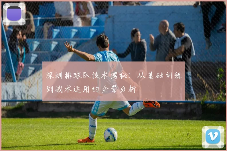 深圳排球队技术揭秘：从基础训练到战术运用的全景分析