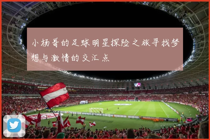 小杨哥的足球明星探险之旅寻找梦想与激情的交汇点