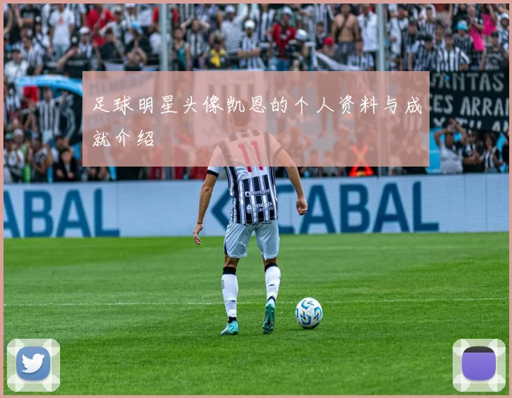 足球明星头像凯恩的个人资料与成就介绍