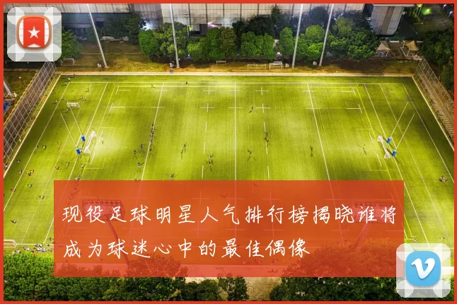 现役足球明星人气排行榜揭晓谁将成为球迷心中的最佳偶像