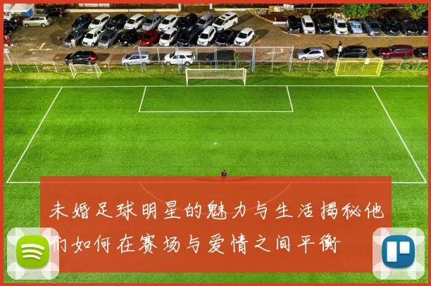 未婚足球明星的魅力与生活揭秘他们如何在赛场与爱情之间平衡