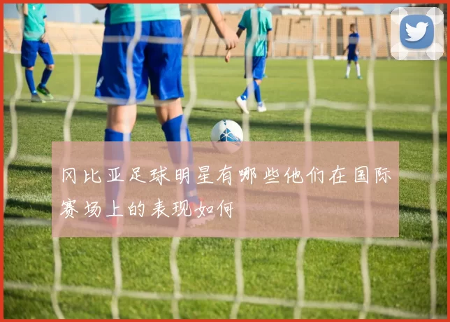 冈比亚足球明星有哪些他们在国际赛场上的表现如何