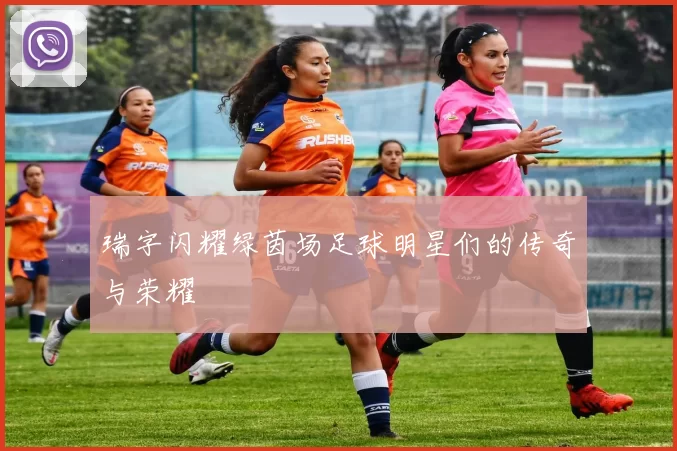 瑞字闪耀绿茵场足球明星们的传奇与荣耀