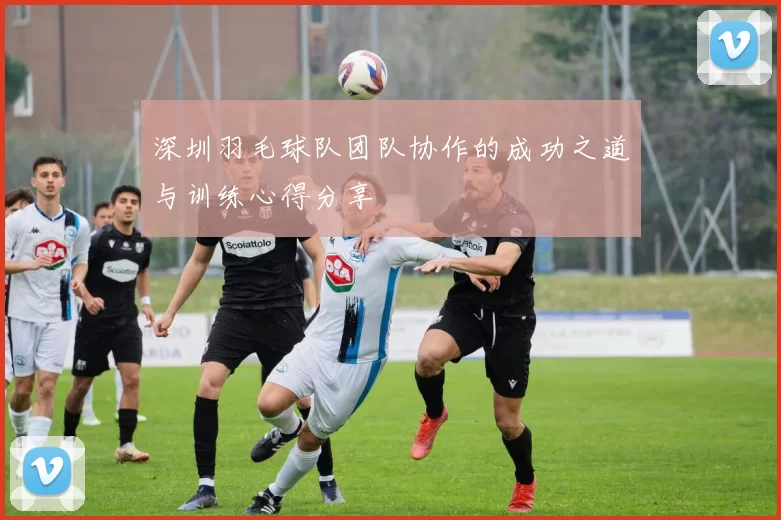 深圳羽毛球队团队协作的成功之道与训练心得分享