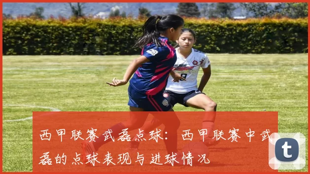 西甲联赛武磊点球：西甲联赛中武磊的点球表现与进球情况