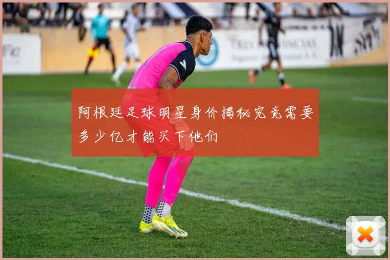 阿根廷足球明星身价揭秘究竟需要多少亿才能买下他们