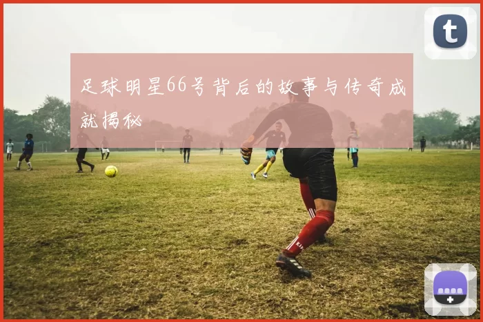 足球明星66号背后的故事与传奇成就揭秘