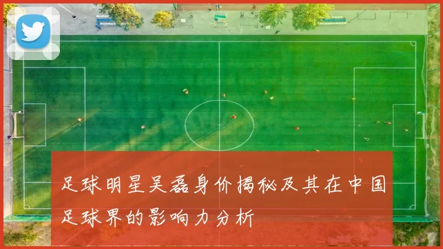 足球明星吴磊身价揭秘及其在中国足球界的影响力分析