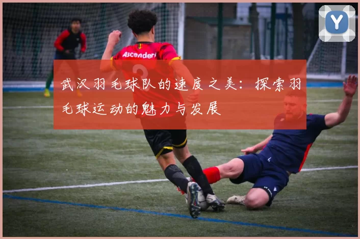 武汉羽毛球队的速度之美：探索羽毛球运动的魅力与发展