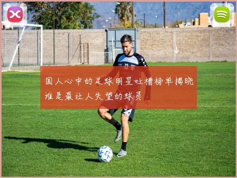 国人心中的足球明星吐槽榜单揭晓谁是最让人失望的球员