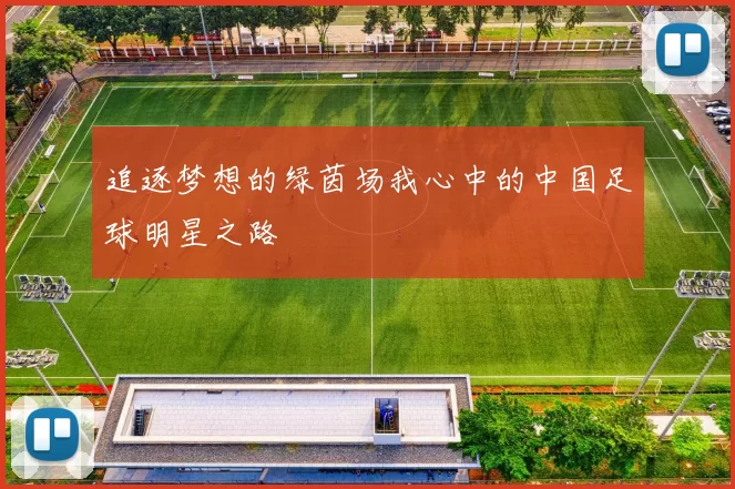 追逐梦想的绿茵场我心中的中国足球明星之路