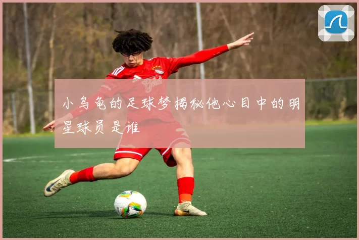 小乌龟的足球梦揭秘他心目中的明星球员是谁