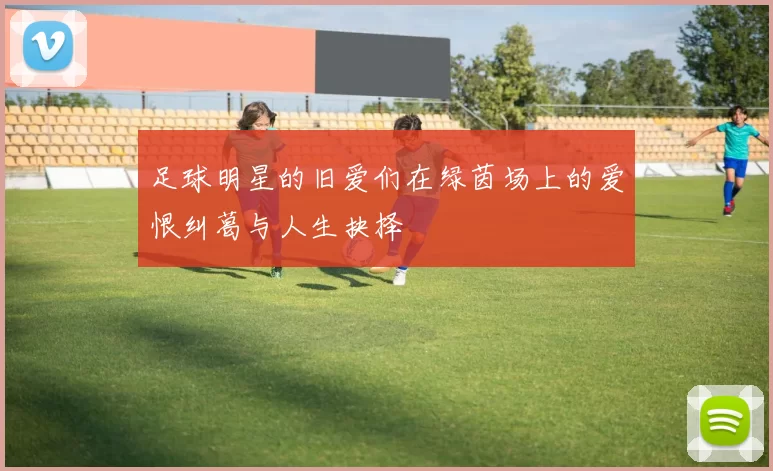 足球明星的旧爱们在绿茵场上的爱恨纠葛与人生抉择