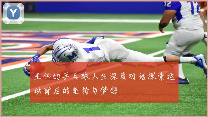 王伟的乒乓球人生深度对话探索运动背后的坚持与梦想