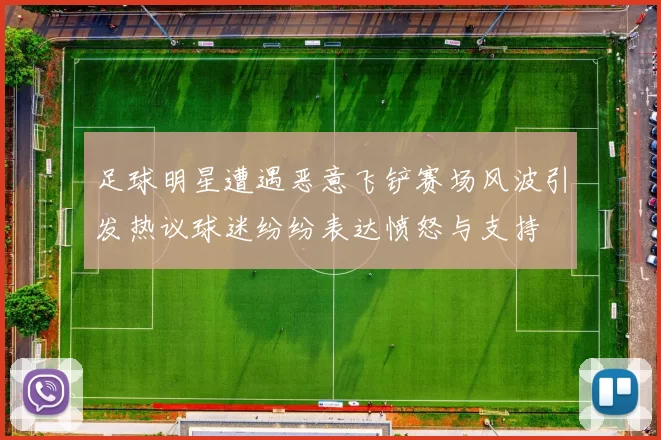 足球明星遭遇恶意飞铲赛场风波引发热议球迷纷纷表达愤怒与支持