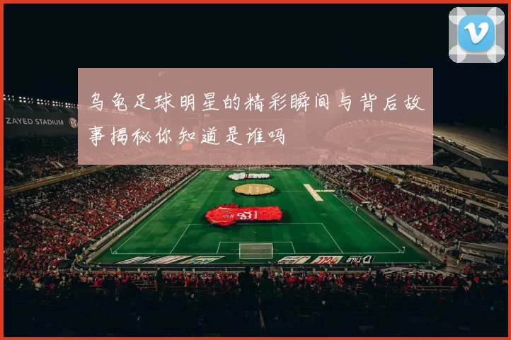乌龟足球明星的精彩瞬间与背后故事揭秘你知道是谁吗